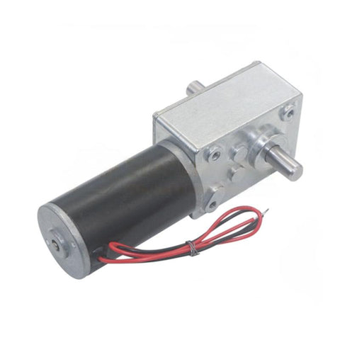 12/24V Double Shaft Worm DC Motor
